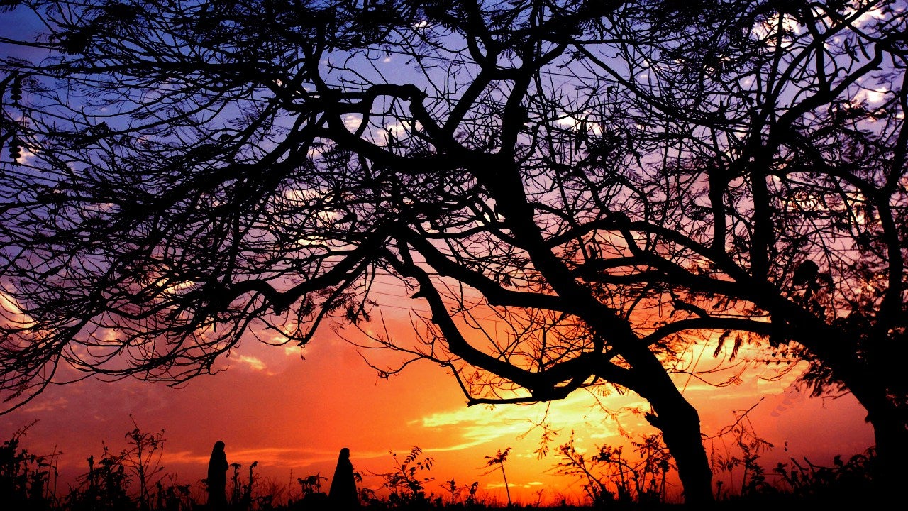 February 2024 Forecast Warmer Nights, Rainier Days In Store for India